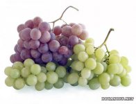 Сиратта – виноград