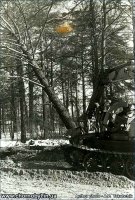 “Рыжий лес” феномены (Чернобыль АЭС-ындағы фажиғәгә - 30 йыл)